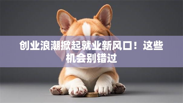 创业浪潮掀起就业新风口！这些机会别错过