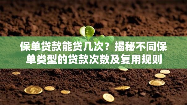 保单贷款能贷几次？揭秘不同保单类型的贷款次数及复用规则