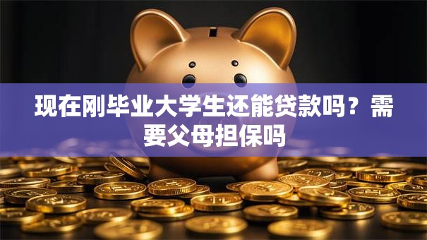 现在刚毕业大学生还能贷款吗？需要父母担保吗