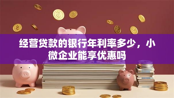 经营贷款的银行年利率多少，小微企业能享优惠吗