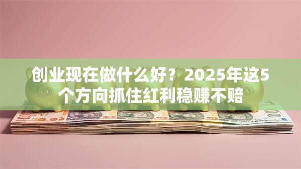 创业现在做什么好？2025年这5个方向抓住红利稳赚不赔