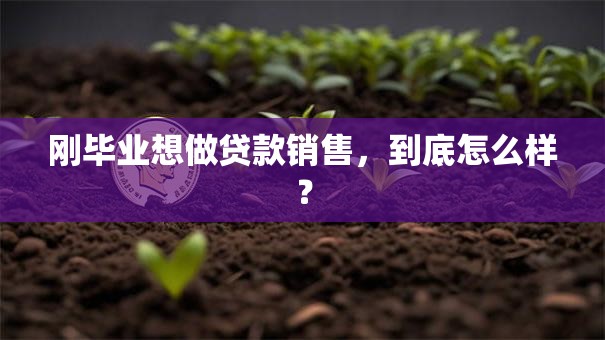 刚毕业想做贷款销售，到底怎么样？
