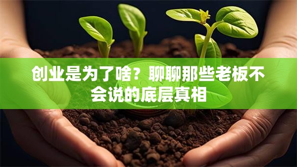 创业是为了啥？聊聊那些老板不会说的底层真相