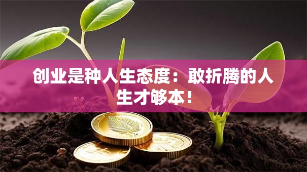 创业是种人生态度：敢折腾的人生才够本！