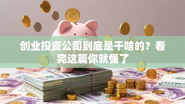 创业投资公司到底是干啥的？看完这篇你就懂了