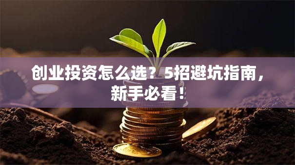 创业投资怎么选？5招避坑指南，新手必看！