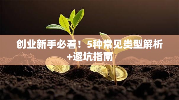 创业新手必看！5种常见类型解析+避坑指南
