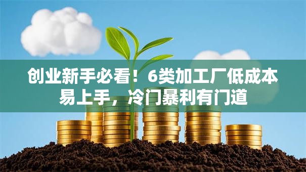 创业新手必看!6类加工厂低成本易上手,冷门暴利有门道 创业新手必看!6类加工厂低成本易上手,冷门暴利有门道