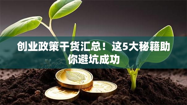 创业政策干货汇总！这5大秘籍助你避坑成功