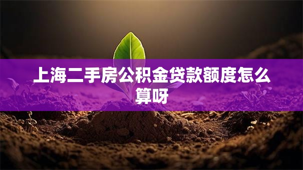 上海二手房公积金贷款额度怎么算呀
