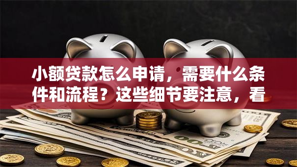 小额贷款怎么申请，需要什么条件和流程？这些细节要注意，看完申请不踩坑