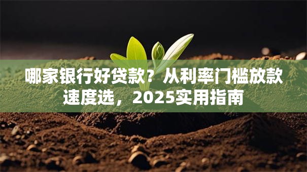 哪家银行好贷款？从利率门槛放款速度选，2025实用指南