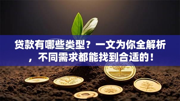 贷款有哪些类型？一文为你全解析，不同需求都能找到合适的！