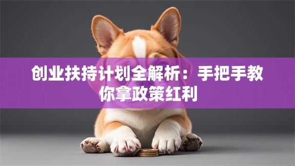 创业扶持计划全解析：手把手教你拿政策红利