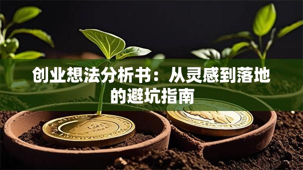 创业想法分析书：从灵感到落地的避坑指南