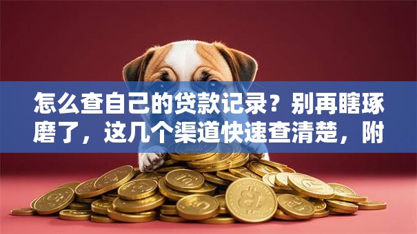 怎么查自己的贷款记录？别再瞎琢磨了，这几个渠道快速查清楚，附详细步骤