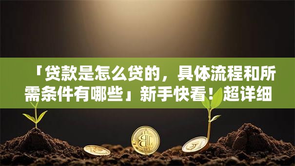 「贷款是怎么贷的，具体流程和所需条件有哪些」新手快看！超详细步骤拆解，看完就能办