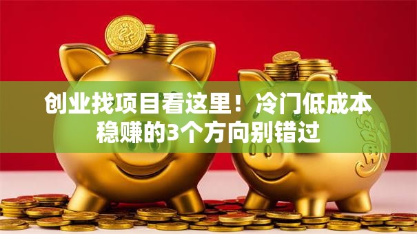 创业找项目看这里！冷门低成本稳赚的3个方向别错过