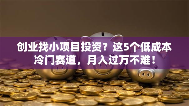 创业找小项目投资？这5个低成本冷门赛道，月入过万不难！