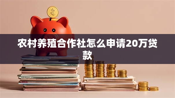 农村养殖合作社怎么申请20万贷款