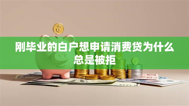 刚毕业的白户想申请消费贷为什么总是被拒