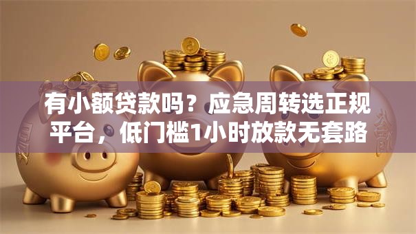有小额贷款吗？应急周转选正规平台，低门槛1小时放款无套路