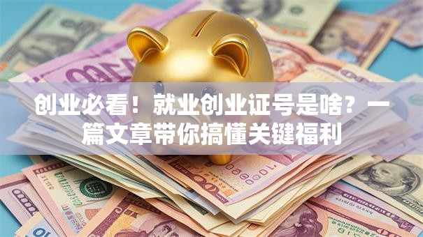 创业必看！就业创业证号是啥？一篇文章带你搞懂关键福利