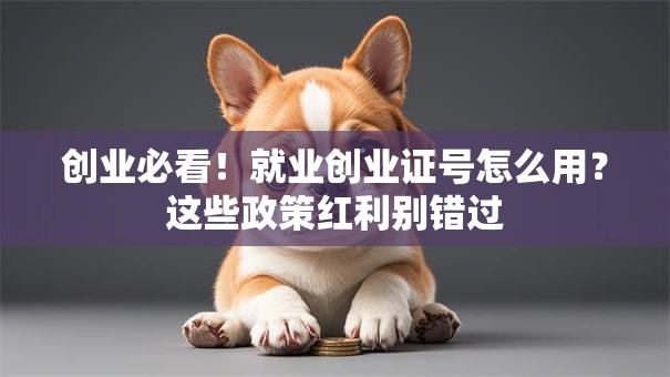 创业必看！就业创业证号怎么用？这些政策红利别错过