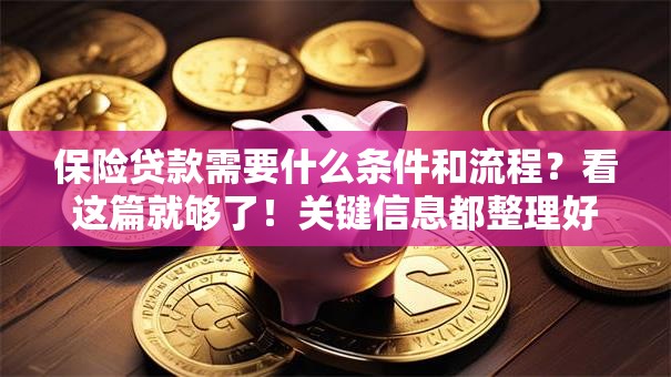 保险贷款需要什么条件和流程？看这篇就够了！关键信息都整理好啦