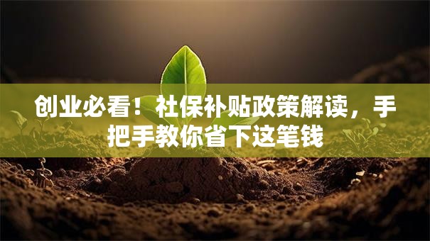 创业必看！社保补贴政策解读，手把手教你省下这笔钱