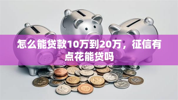 怎么能贷款10万到20万，征信有点花能贷吗