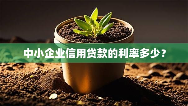中小企业信用贷款的利率多少？