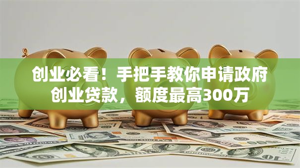 创业必看！手把手教你申请政府创业贷款，额度最高300万