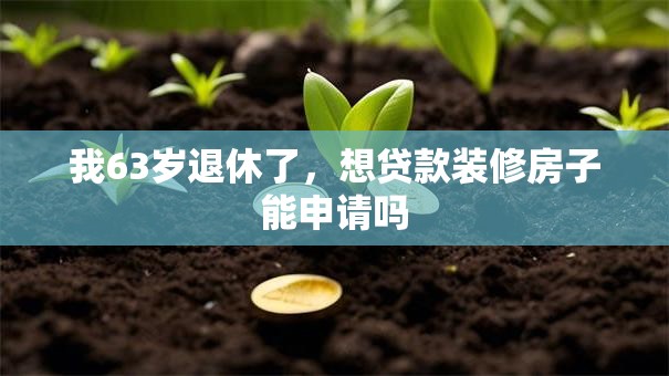 我63岁退休了，想贷款装修房子能申请吗