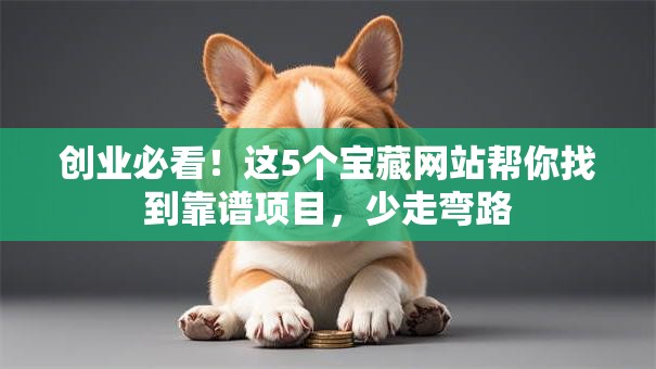 创业必看！这5个宝藏网站帮你找到靠谱项目，少走弯路