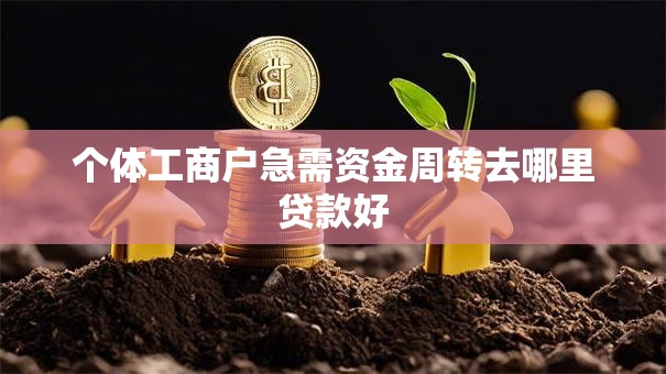 个体工商户急需资金周转去哪里贷款好