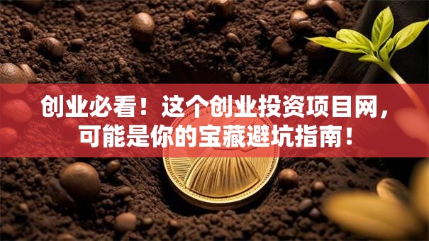 创业必看！这个创业投资项目网，可能是你的宝藏避坑指南！