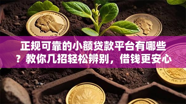 正规可靠的小额贷款平台有哪些？教你几招轻松辨别，借钱更安心