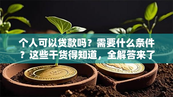 个人可以贷款吗？需要什么条件？这些干货得知道，全解答来了
