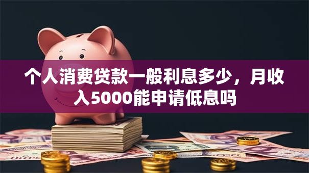个人消费贷款一般利息多少，月收入5000能申请低息吗