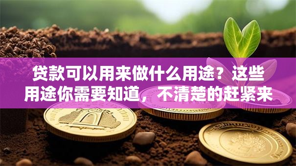 贷款可以用来做什么用途？这些用途你需要知道，不清楚的赶紧来看！