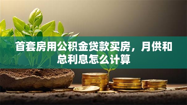 首套房用公积金贷款买房，月供和总利息怎么计算