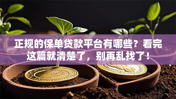 正规的保单贷款平台有哪些？看完这篇就清楚了，别再乱找了！