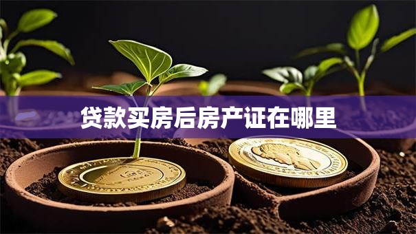 贷款买房后房产证在哪里