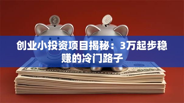 创业小投资项目揭秘：3万起步稳赚的冷门路子