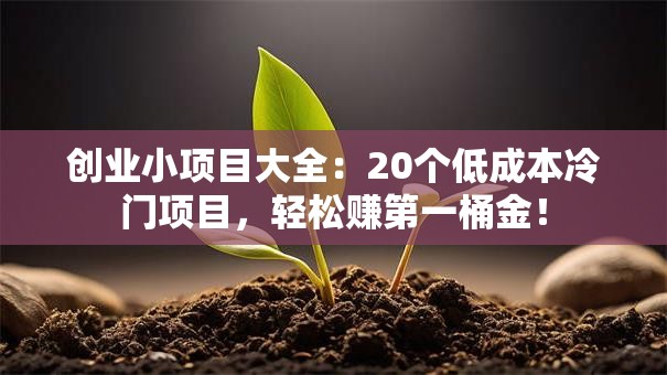 创业小项目大全：20个低成本冷门项目，轻松赚第一桶金！