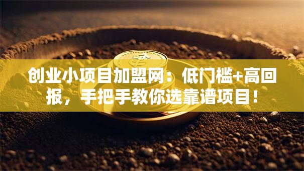 创业小项目加盟网：低门槛+高回报，手把手教你选靠谱项目！