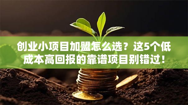 创业小项目加盟怎么选？这5个低成本高回报的靠谱项目别错过！