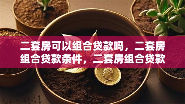 二套房可以组合贷款吗，二套房组合贷款条件，二套房组合贷款流程