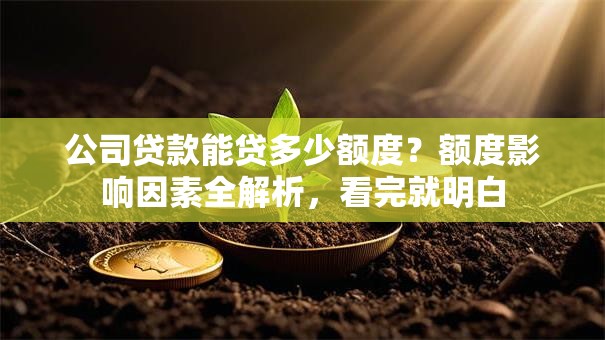 公司贷款能贷多少额度？额度影响因素全解析，看完就明白